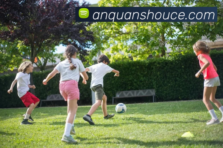 kaiyun「中国大陆」云开·门户网站 - 官方网站|登录入口全站App